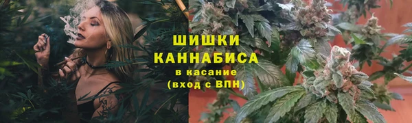 PSILOCYBIN Арсеньев