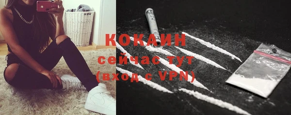 ГАЛЛЮЦИНОГЕННЫЕ ГРИБЫ Михайлов